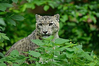 《When You See It》Steam上线 寻找异常恐怖探索